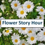 Flower Story Hour