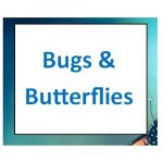 Bugs and Butterflies Story Hour